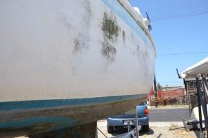 cal_20_1560_hartwig_4